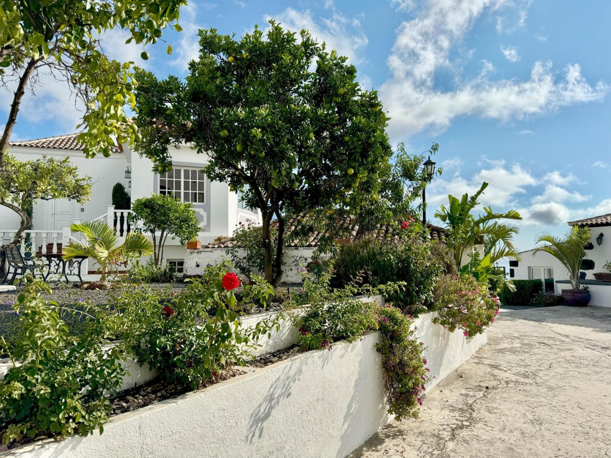 Casa Vista Mar 2 Los Laureles El Paso Εξωτερικό φωτογραφία
